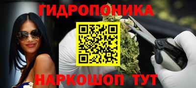 мет Можга